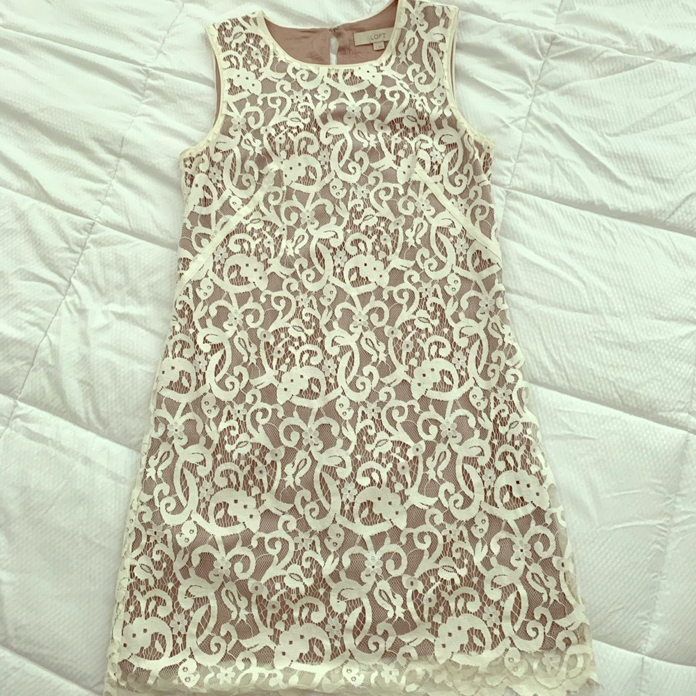Loft Lace Dress